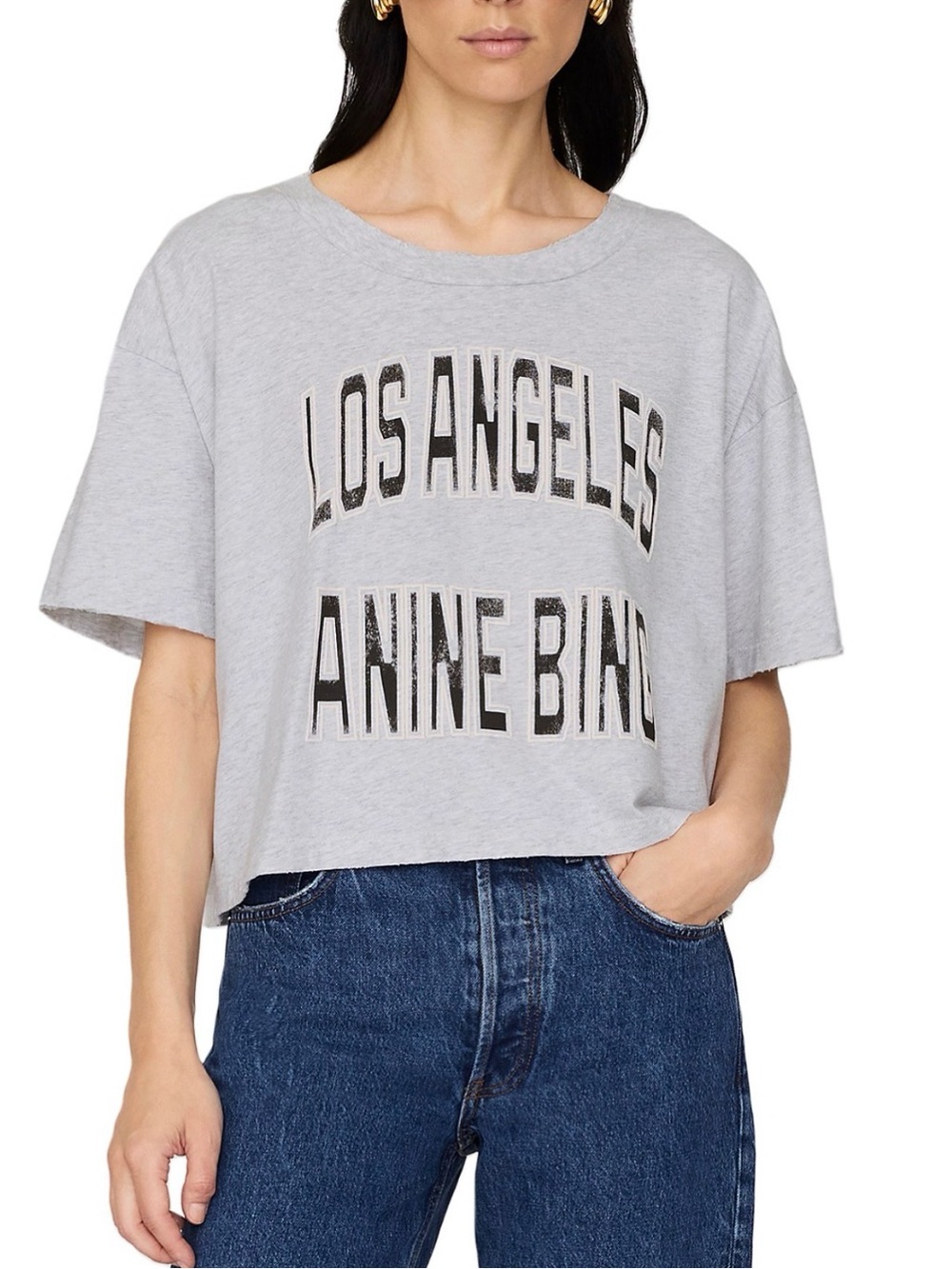 ANINE BING Los Angeles Graphic Cropped T-Shirt Gray